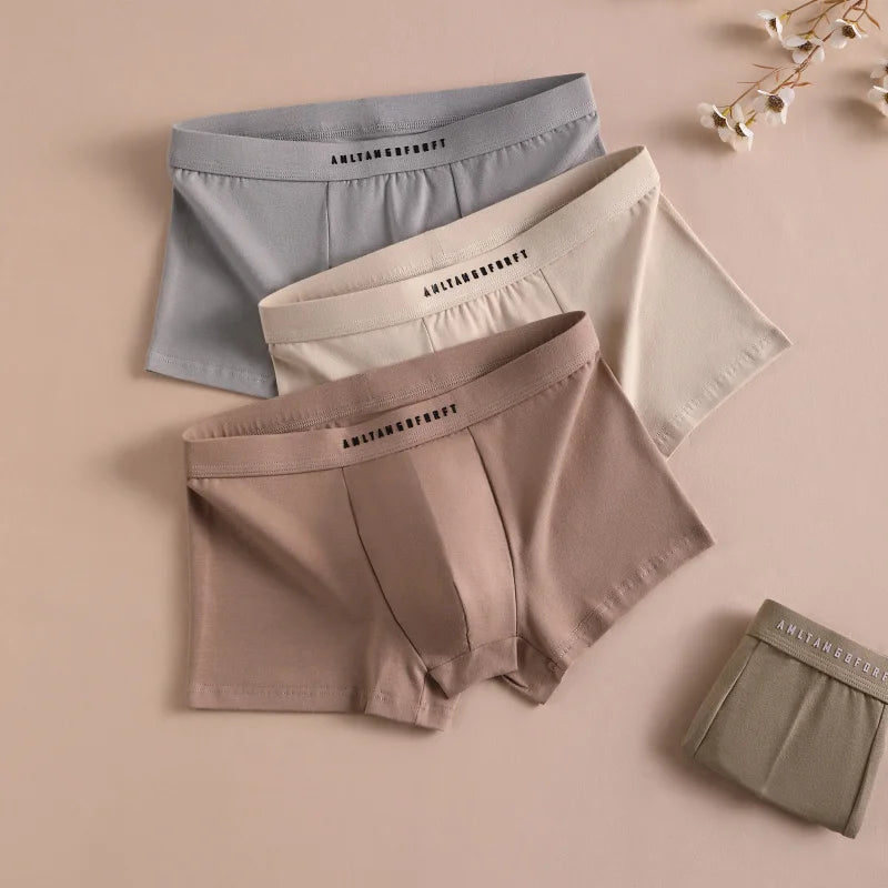 3PCS Sport Boxer Mann Atmungsaktive Geschenk Sportliche Boxer männer Platz Höschen Sexy Männer Unterwäsche Unterhose Briefs Shorts unterwäsche