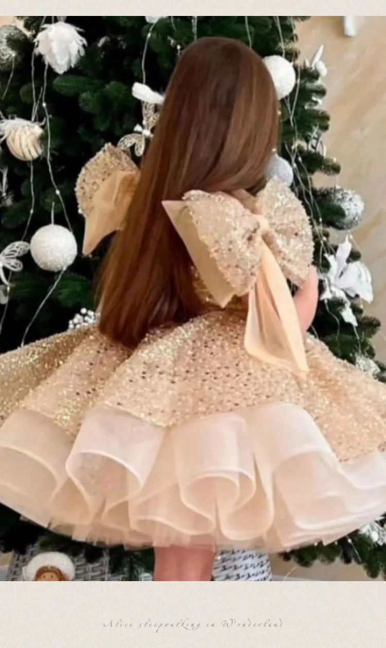 2024 neue Mädchen kleider für formelle Anlässe große Schleife und flauschige Ballett leistung Ballkleid Geburtstags kind Prinzessin Kleid.