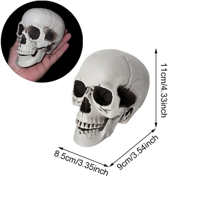 Halloween-Schädel-Dekoration, realistischer Kunststoff-Schädel, Kopfskelett, Halloween-Party, Haushof-Dekoration, Spukhaus-Horror-Requisiten.