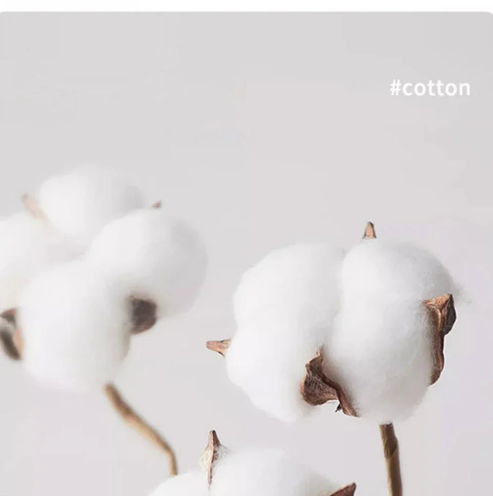 100% pure cotton summer high-end brand men's short sleeve round neck fashionable style half sleeved top breathable T-shirt.