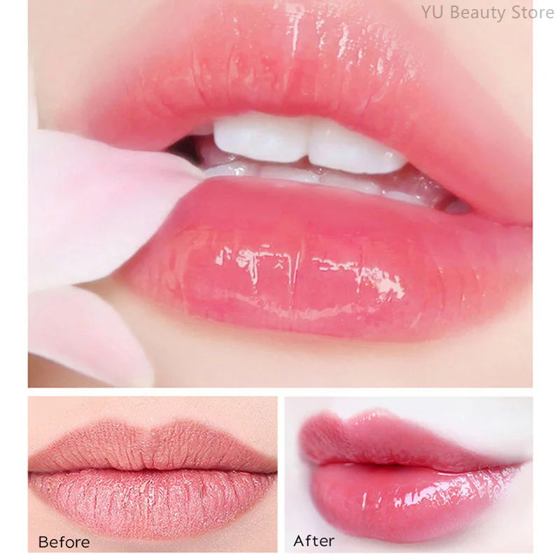 6 Colors Lip Plumping Gloss Instant Lip Plumper Extreme Volume Serum Oil Moisturizing Sexy Plump Lips Korean Makeup Products.