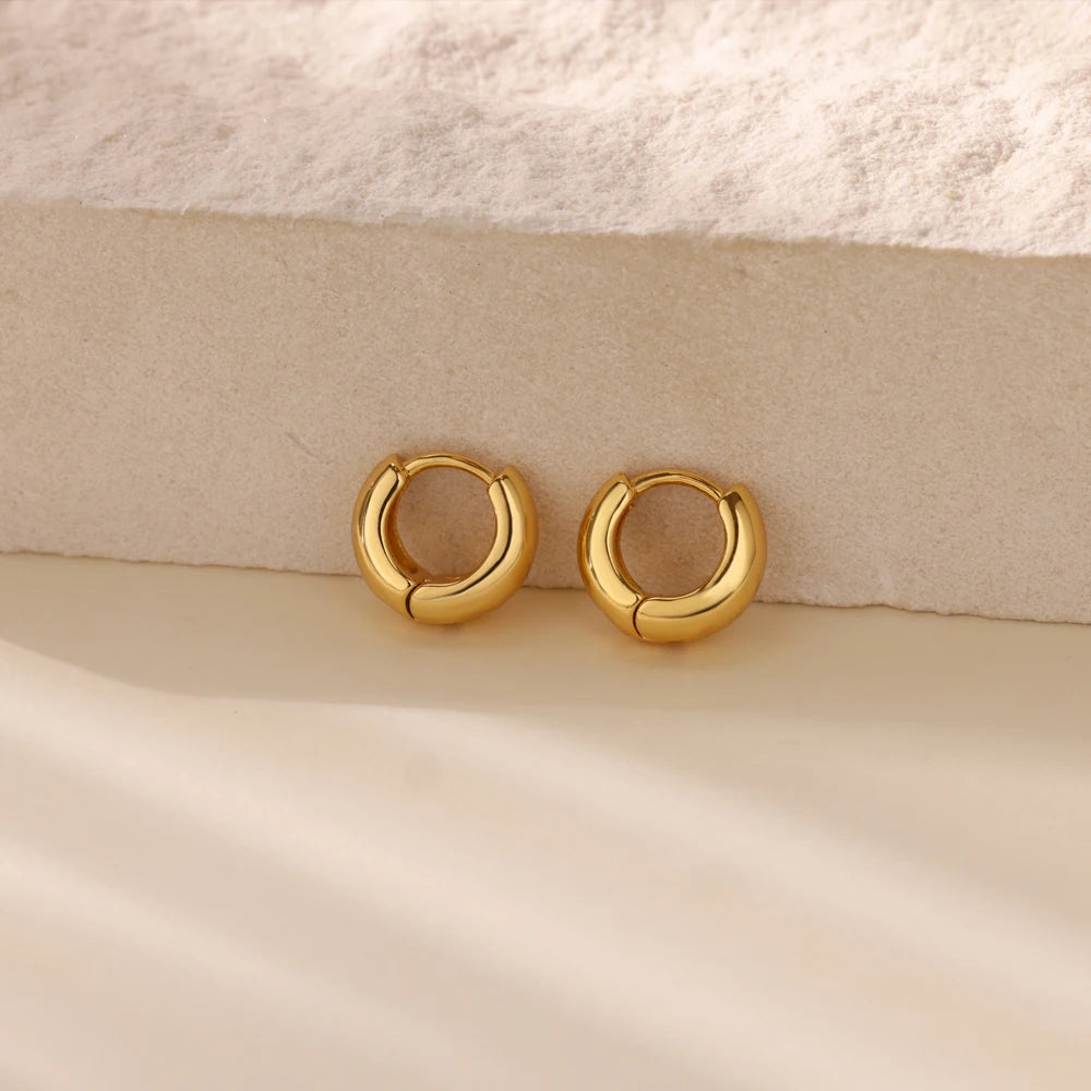 Classic Hoop Earrings for Women Chunky Stainless Steel Gold Color Earring 2025 Trend New in Minimalist Pendientes Jewelry aretes.