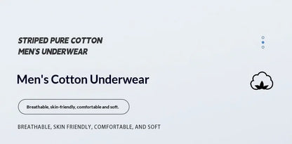 Neuankömmling Herrenunterwäsche, 100 % Baumwolle, antibakteriell, Herren-Boxershorts, atmungsaktiv, bequem, mittelhohe Slips, Herrenunterwäsche