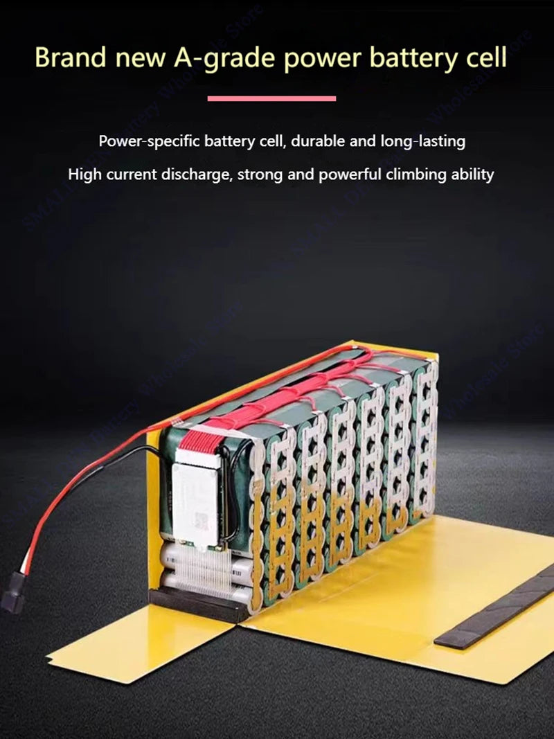 Silver Fish 36V/48V/60V 10Ah 20A lithium battery pack suitable for 1800W handheld folding two wheeled scooter battery+5A charger