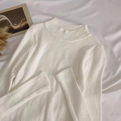 Weiche Rollkragen Frauen Herbst Winter Pullover Pullover Grundlegende Beiläufige Dünne Stretch Weiche Rippen Gestrickte Top Frau Pullover 2026