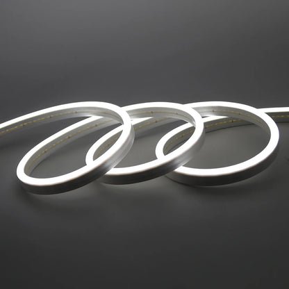 IP67 Waterproof DC 24V Neon Strip TV BackLight White/Blue/Pink/Yellow/Green Home Decor Silicon Tube LED Light 1M 5M 10M 20M.