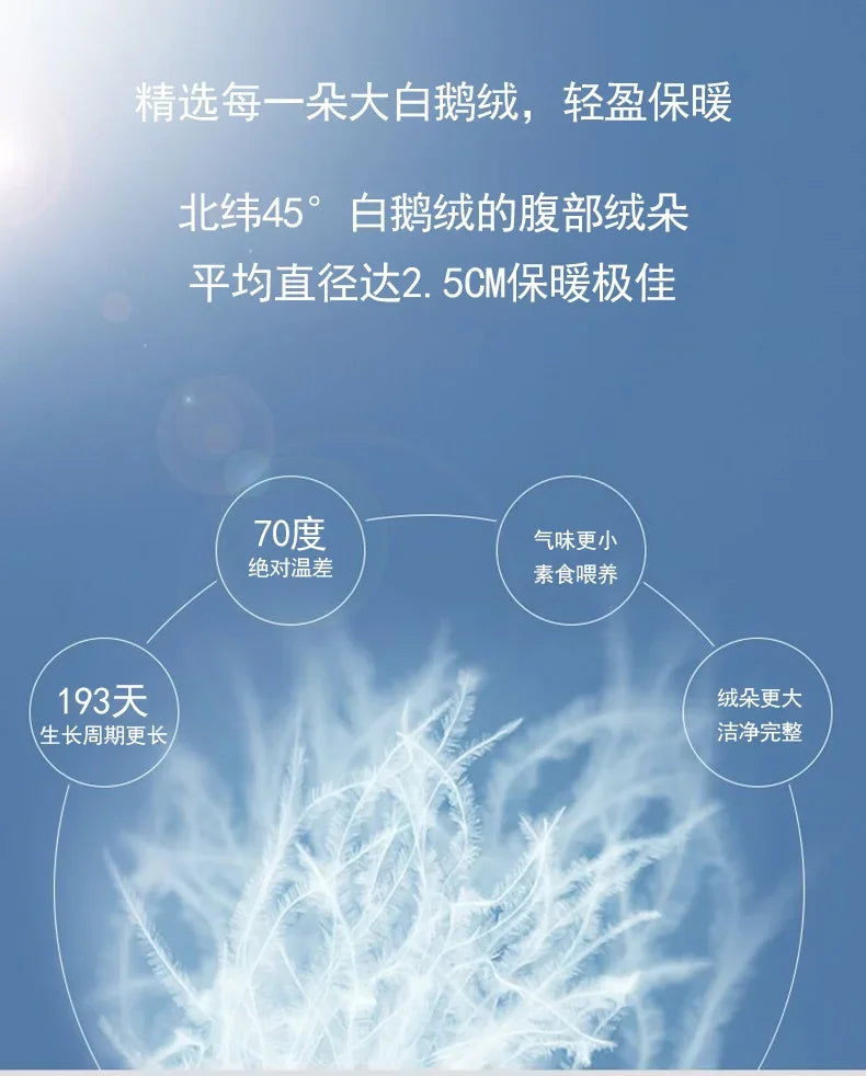 Goose Down Soft Duvet Luxury Blanket King Queen Twin Size Comforter Bedding Filler Bread Shape Super Warm Quilt.