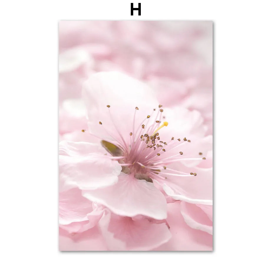 Pink Cherry Blossom Tulip Bicycle Flower Nordic Posters Ferris Wheel Wall Art Print Canvas Painting Living Room Home Decoration