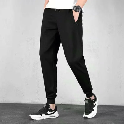 Men's Loose-Fit Fleece-Lined Long Casual Pants Autumn/Winter 2024 Spring/Autumn Korean Style Straight-Leg Pants For Youth.