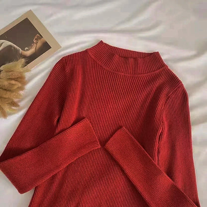 Weiche Rollkragen Frauen Herbst Winter Pullover Pullover Grundlegende Beiläufige Dünne Stretch Weiche Rippen Gestrickte Top Frau Pullover 2026.