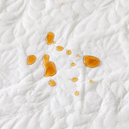 Waterproof Mattress Protector Thicken Fitted Bed Sheet Breathable & Noiseless Mattress Pad for Twin/Double/Queen/King Size Beds.