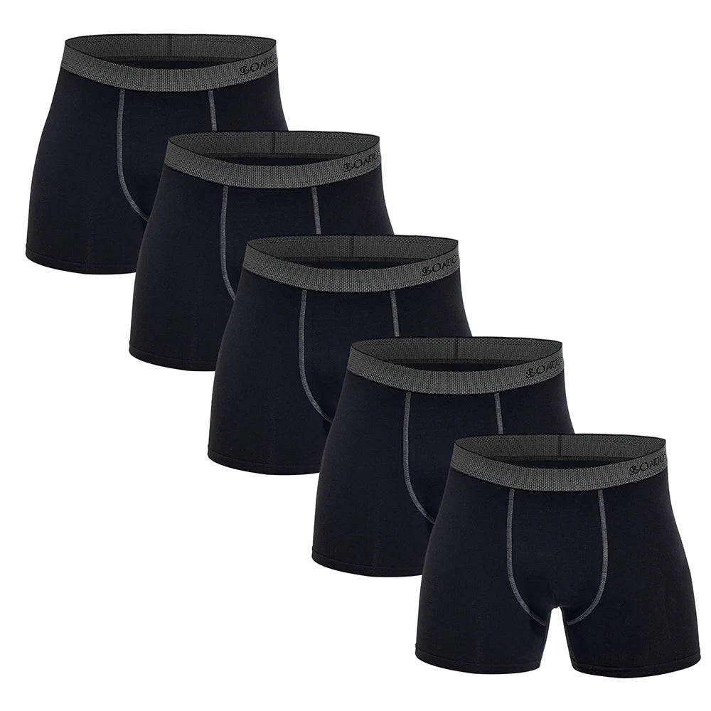 5 stücke Pack Herren Höschen Baumwolle Unterwäsche Männliche Marke Boxer Briefs 2025 Unterhosen Für Homme Luxus Sexy Shorts Geschenk