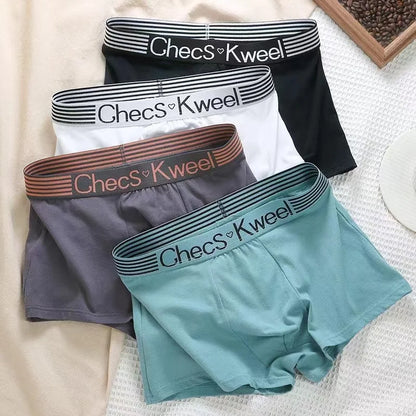 4Pcs Boxer Shorts männer Unterwäsche Sexy Höschen Baumwolle Boxer Gestreiften Unterhose Männlichen Shorts U Konvexen Dessous Plus Größe 2XL-6XL