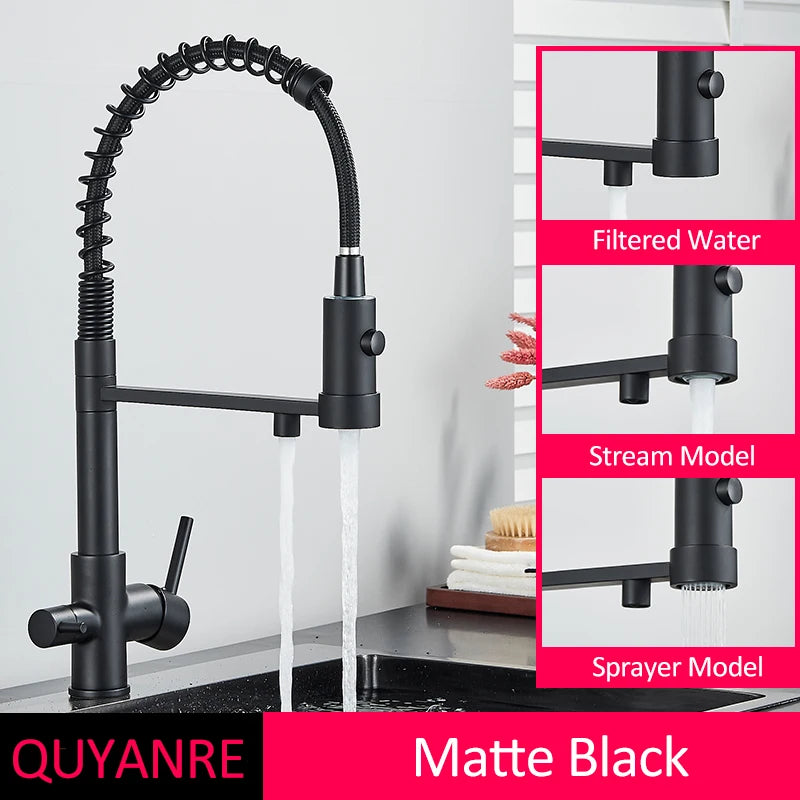 Black Filtered Kitchen Water Filter Kitchen Faucets Dual Spout Filter Faucet Mixer Water Purification Water Crane For Kitchen