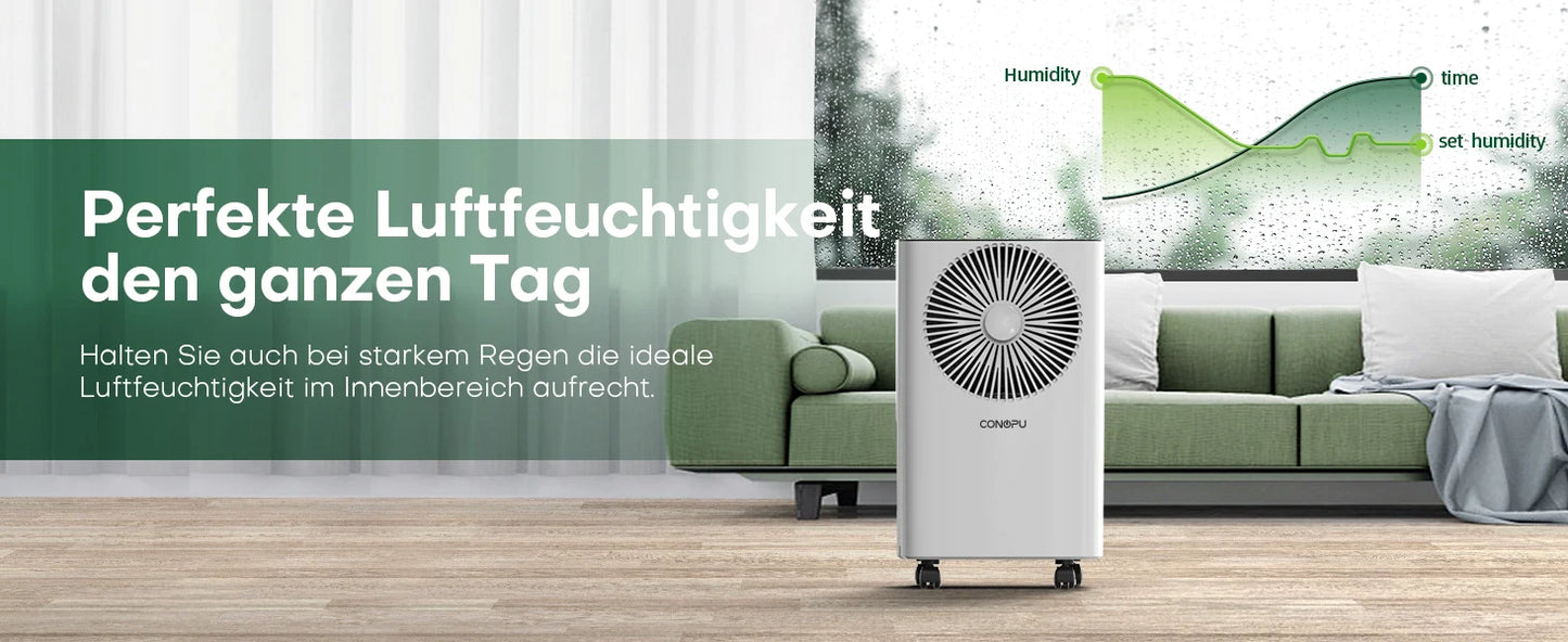 Dehumidifier 12 L/Day, Car Dehumidification, 24H Timer On/Off, Continuous Drainage, Room Dehumidifier, Suitable for Home/Basemen.