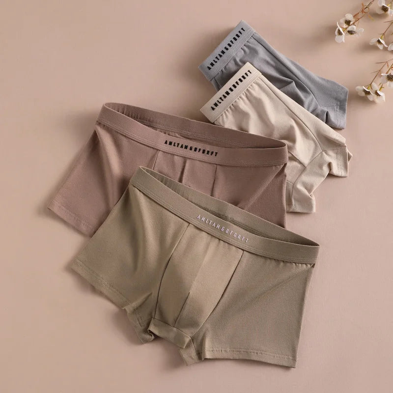 3PCS Sport Boxer Mann Atmungsaktive Geschenk Sportliche Boxer männer Platz Höschen Sexy Männer Unterwäsche Unterhose Briefs Shorts unterwäsche