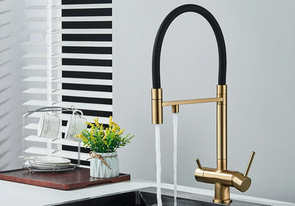 Black Grey Filtered Kitchen Faucet Water Filter Kitchen Faucets Filter Faucet Mixer Water Purification Water Drinking Water Taps