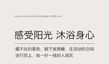 Winter Warm Velvet Mattress Cover Home Dormitory Soft Thick Quilted Bed Sheets Queen Size Bed Cover Fold Tatami Mat Bedspread.