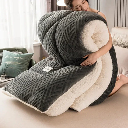 Super Warm Lamb Wool Quilt Winter Thickened Cotton Quilt Warm Cotton Double Sided Velvet Soft Extra Large Blanket 이불