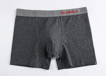 5 stücke sexy unterwäsche für mann baumwolle unterhosen männer 2025 boxershorts geschenke boxer für mann heißer männer höschen pack homme calecon