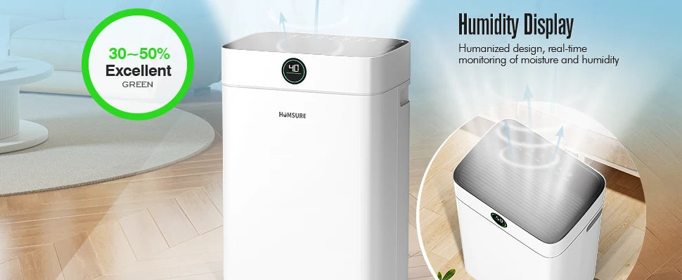 Dehumidifier 20 L, Dehumidifier Cellar Rooms with Digital Display, 24H Timer, Automatic Defrosting, Dry Clothes, Continuous Drai.