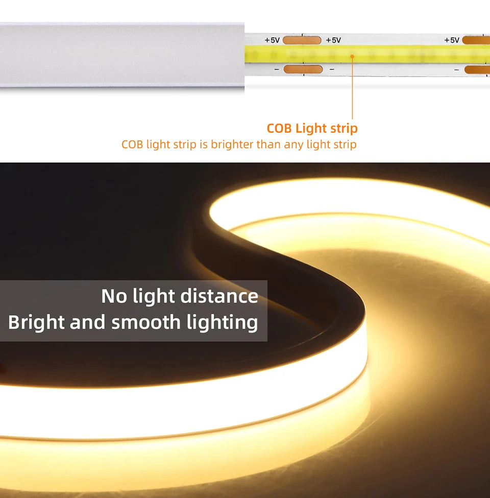 RF Remote Control Dimmable COB LED Neon Lights Strip Silica Tube Waterproof USB Lamp 1m 2m 3m 5m Night Lighting Excluded battery.
