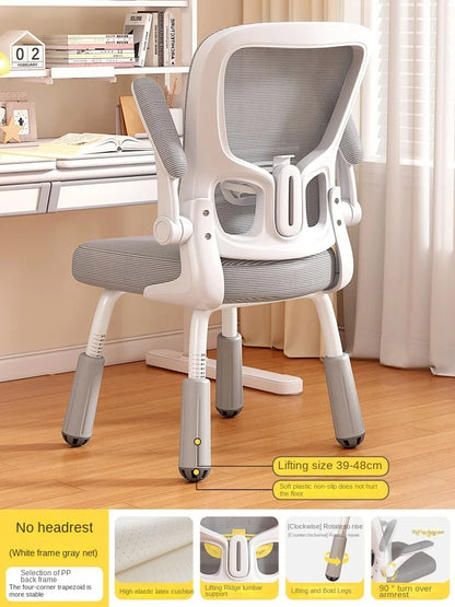 Computerstuhl, Heimsitz, Taille, Studentenschreibtisch, Arbeitsstuhl mit Lift und verstellbarer Rückenlehne