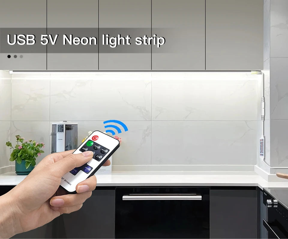 RF Remote Control Dimmable COB LED Neon Lights Strip Silica Tube Waterproof USB Lamp 1m 2m 3m 5m Night Lighting Excluded battery.