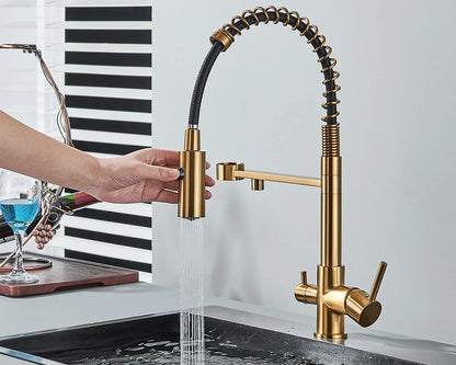 Black Filtered Kitchen Water Filter Kitchen Faucets Dual Spout Filter Faucet Mixer Water Purification Water Crane For Kitchen