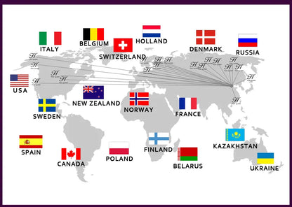 H Han Queen Summer Elegant Business Jumpsuits Women Simple Wide Leg Long Playsuits Korean Sleeveless Casual Rompers Office Lady