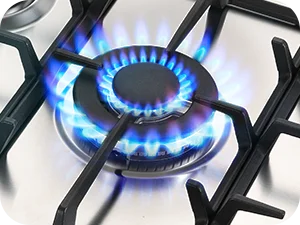 68cm 5-Burner Gas Hob Stainless Steel Gasherd Auto Flame Shield & Dual Fuel (Erdgas/LPG) 10460W Pro Line Built-in/Standherd.