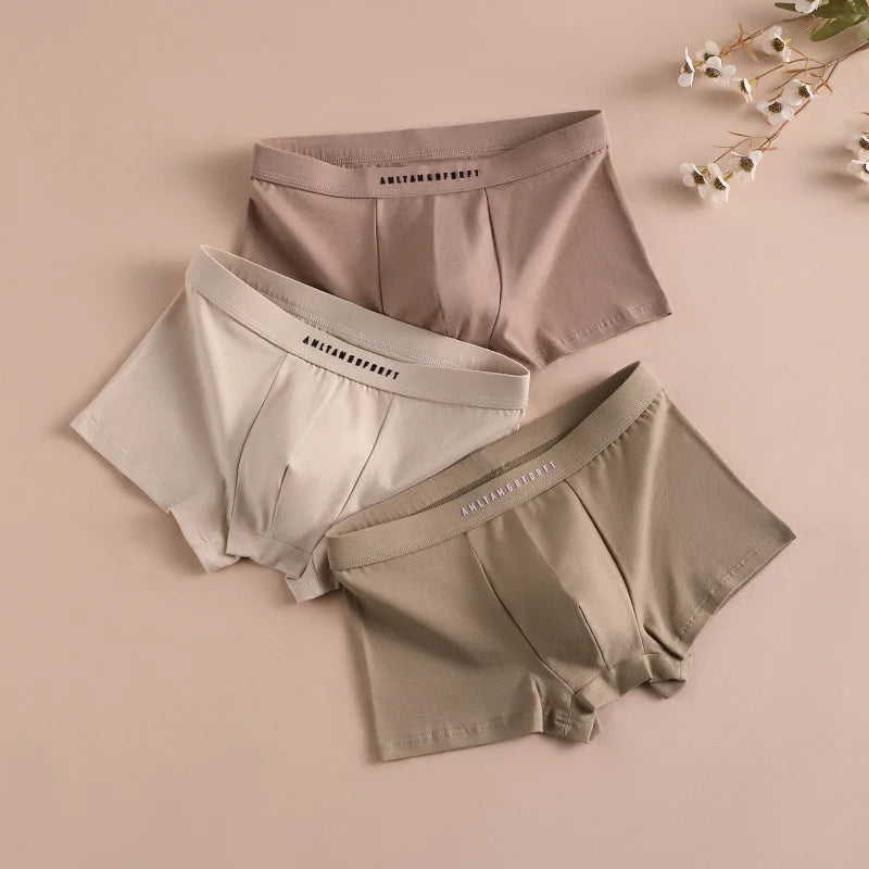 3PCS Sport Boxer Mann Atmungsaktive Geschenk Sportliche Boxer männer Platz Höschen Sexy Männer Unterwäsche Unterhose Briefs Shorts unterwäsche