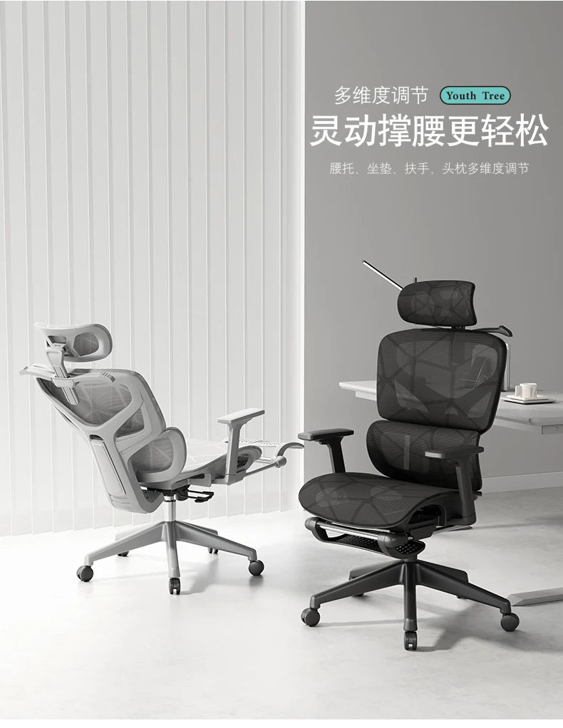 Throne Study Bürostuhl Playseat Ergonomischer moderner luxuriöser mobiler Bürostuhl Executive Designer Taburete Bibliotheksmöbel