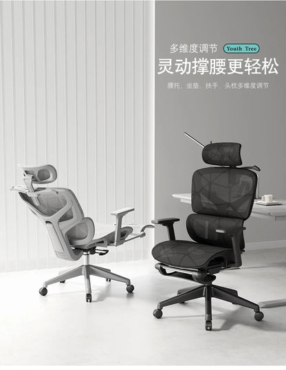 Throne Study Bürostuhl Playseat Ergonomischer moderner luxuriöser mobiler Bürostuhl Executive Designer Taburete Bibliotheksmöbel