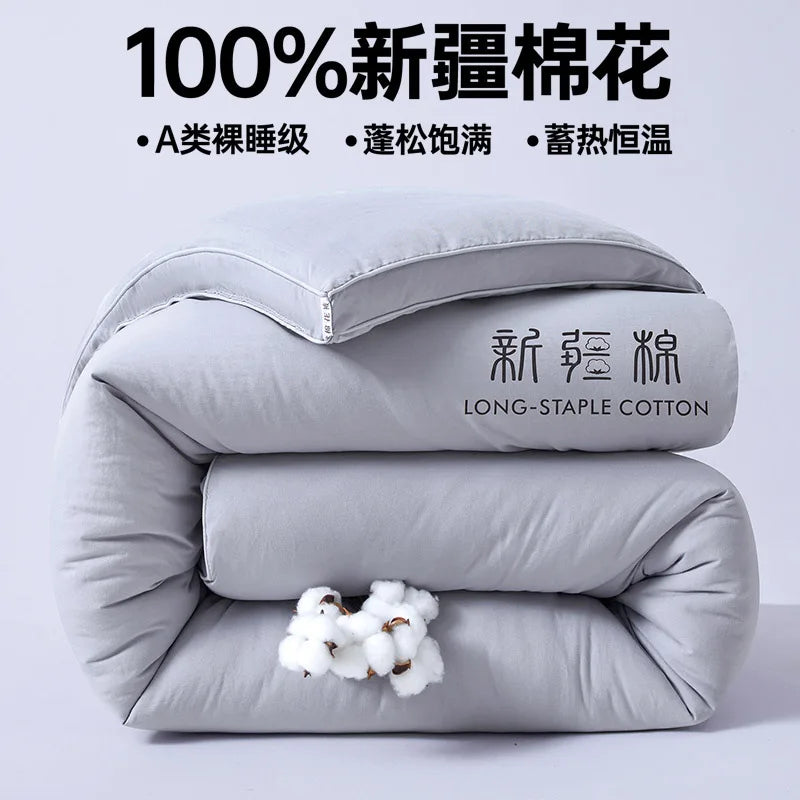 2025 new class A Xinjiang cotton thickened winter quilt spring and autumn quilt pure cotton quilt student dormitory warm