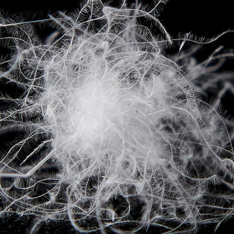 Goodnight Kiss 100% White Duck Down Comforter Lightweight Spring Autumn Blanket Quilt Soft Luxury Warm Winter Duvet Insert.