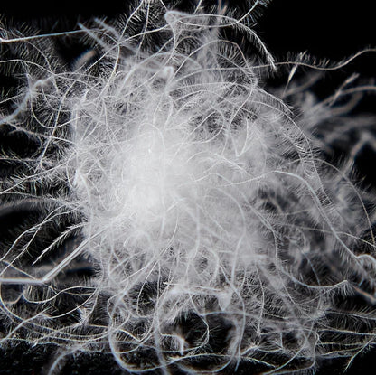 Goodnight Kiss 100% White Duck Down Comforter Lightweight Spring Autumn Blanket Quilt Soft Luxury Warm Winter Duvet Insert.