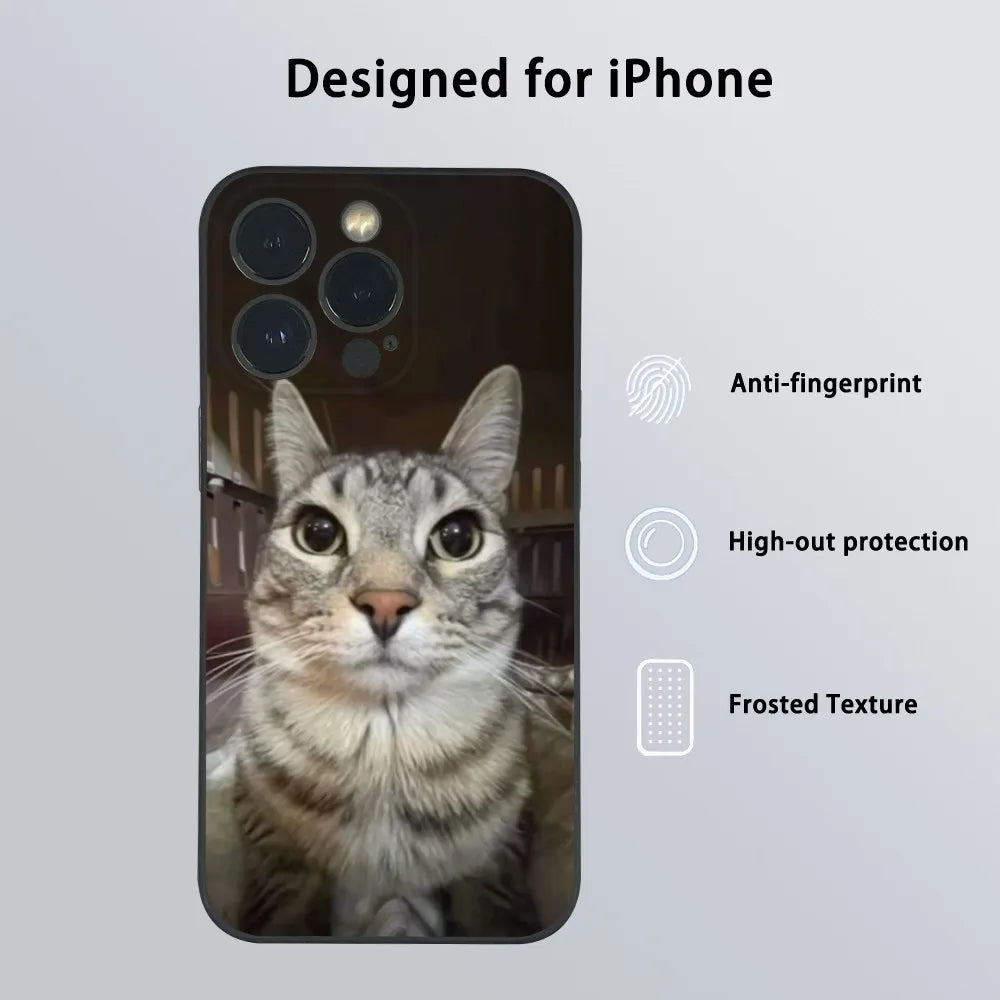Pet Cat Funny memes Phone Case For iPhone 16 15 14 13 Pro Max Plus Mini Frosted Soft Shell Funda.