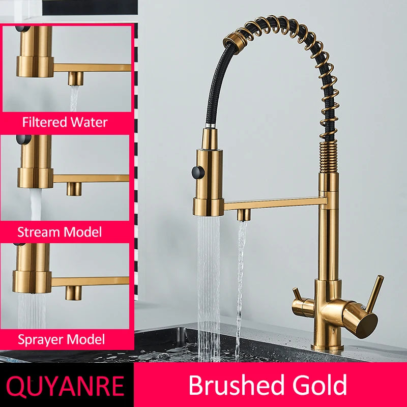 Black Filtered Kitchen Water Filter Kitchen Faucets Dual Spout Filter Faucet Mixer Water Purification Water Crane For Kitchen