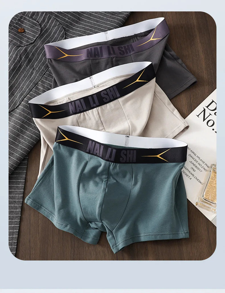 Neuankömmling Herrenunterwäsche, 100 % Baumwolle, antibakteriell, Herren-Boxershorts, atmungsaktiv, bequem, mittelhohe Slips, Herrenunterwäsche