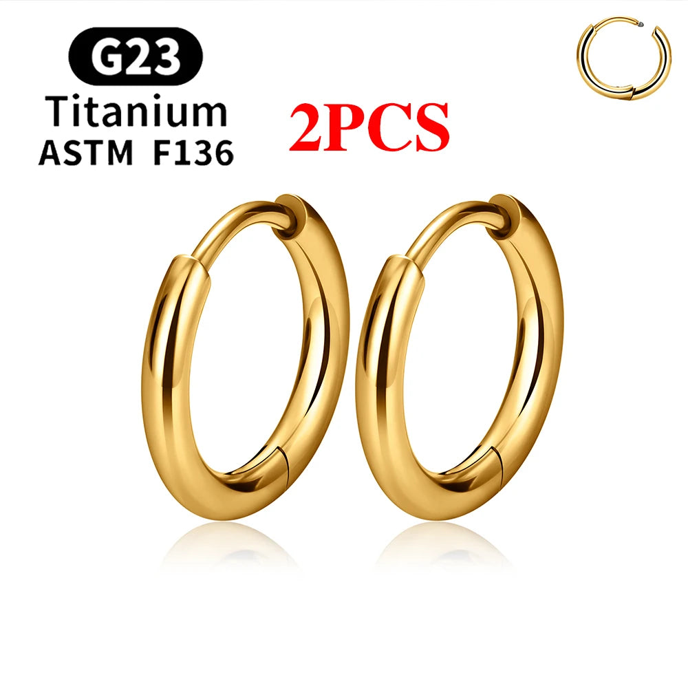 2/20PCS G23 Titanium Earring Hoop CZ Hinged Segment Round Nose Ring for Women Ear Tragus Cartilage Helix Daith Piercing Jewelry.