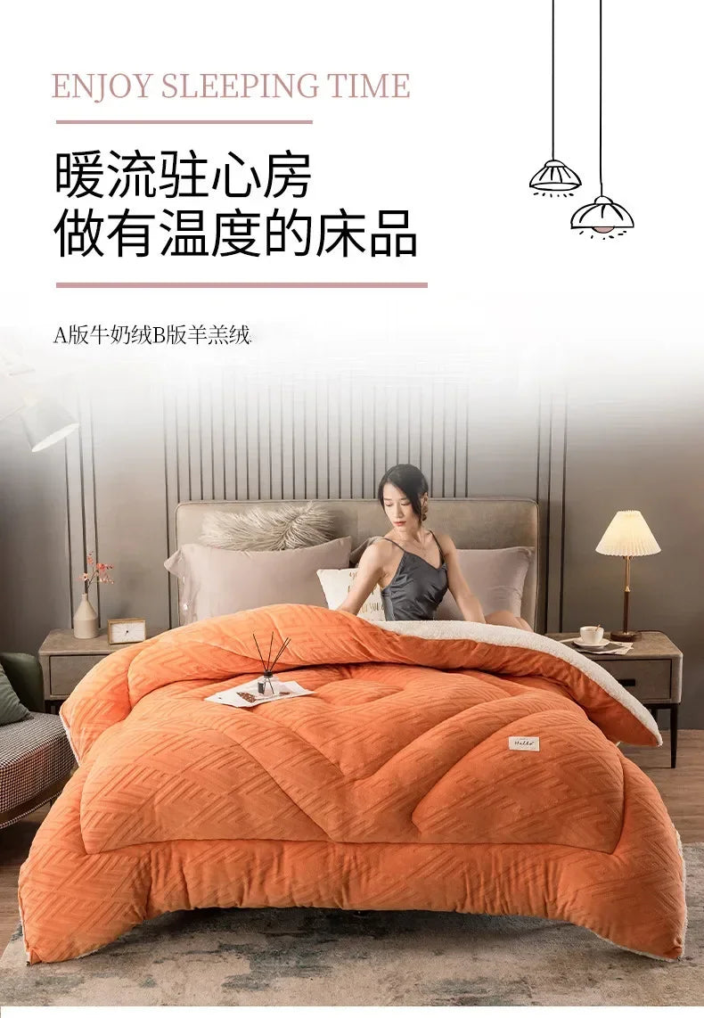 Super Warm Lamb Wool Quilt Winter Thickened Cotton Quilt Warm Cotton Double Sided Velvet Soft Extra Large Blanket 이불.