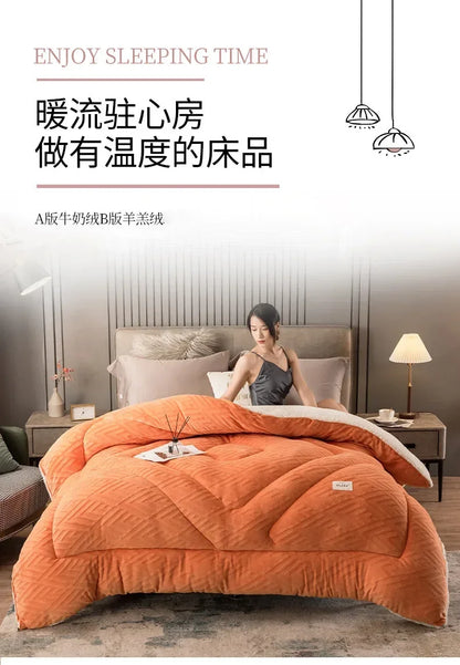 Super Warm Lamb Wool Quilt Winter Thickened Cotton Quilt Warm Cotton Double Sided Velvet Soft Extra Large Blanket 이불.