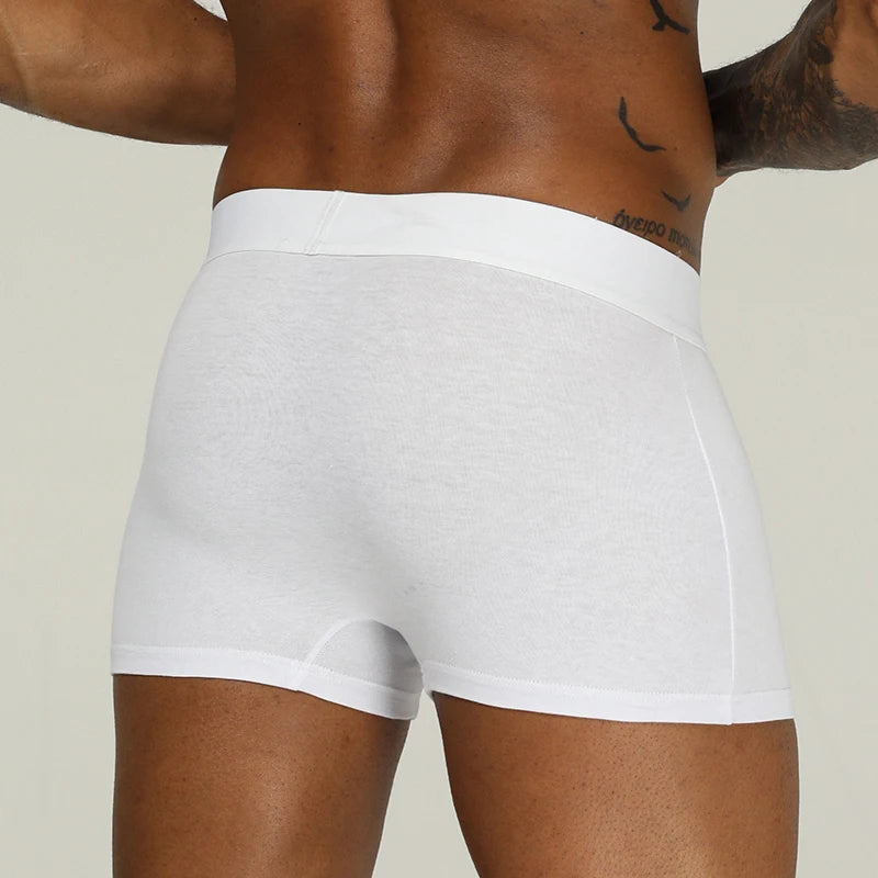 Männer Unterwäsche Boxer Baumwolle Boden Preis Herren Unterhosen Bequeme Unterwäsche Männliche Höschen Atmungsaktive U Pouch Männer Shorts