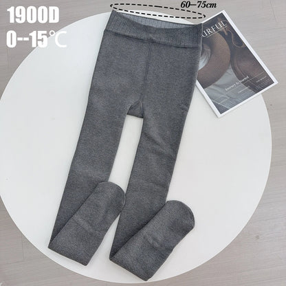 Korean Gray High Elastic Thicken Leggings for Women Warm Pantyhose Cotton Soft Stockings Tights Harajuku Streetwear Fashion Sock