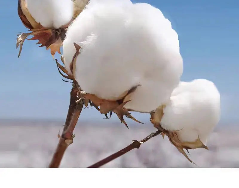 300gsm Heavy Weight Cotton T-shirt Long-sleeved T-shirt for Men Women Pure White Men's Blank Shirt Wholesale.