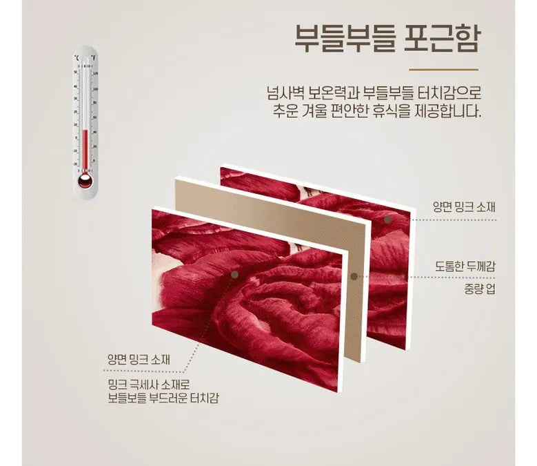 Winter Quilt Thick Warm Fluffy Blankets Super Soft Raschel Stitch Double Layer Winter Mink Throw Fat Quilts Double Size Blanket.