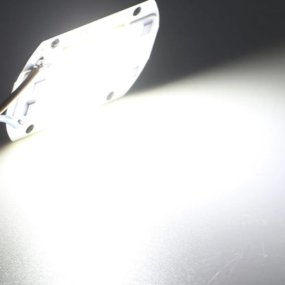 COB Chip LED Lampe 220V 10W 20W 30W 50W Smart IC Keine Notwendigkeit Fahrer Lampada LED Birne Lampe Für Flutlicht Scheinwerfer Diy Beleuchtung