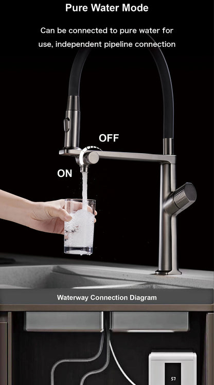 AITANA Luxury Brass Gun Grey Pull out 2-Function Kitchen Faucet Single Handle Cold and Hot Water Pure Water Design Sink Tap
