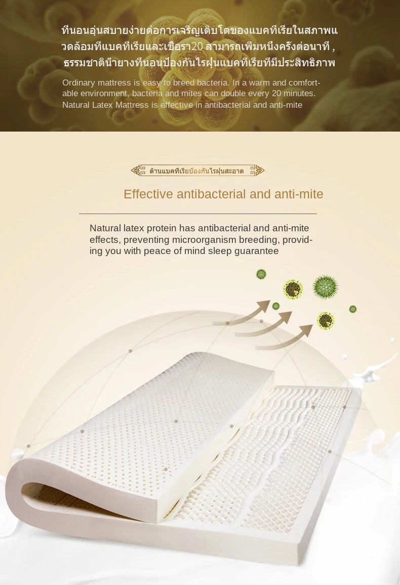 High-End-Latex-Quellen-Flüssigkeitsmatratzenoberteil, 100 % Naturlatex, faltbar, langsame Rückfederung, Thiland-Matten mit anpassbarem Baumwollbezug